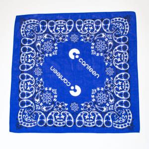 mexican blue design